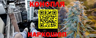 шишки Ирбит