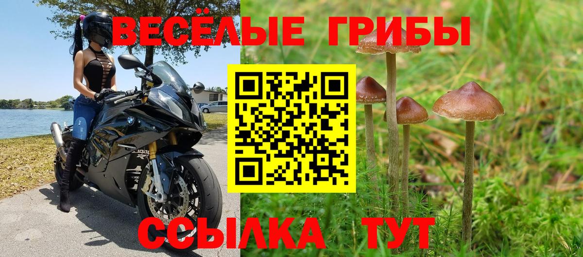 Псилоцибиновые грибы ЛСД Кулебаки